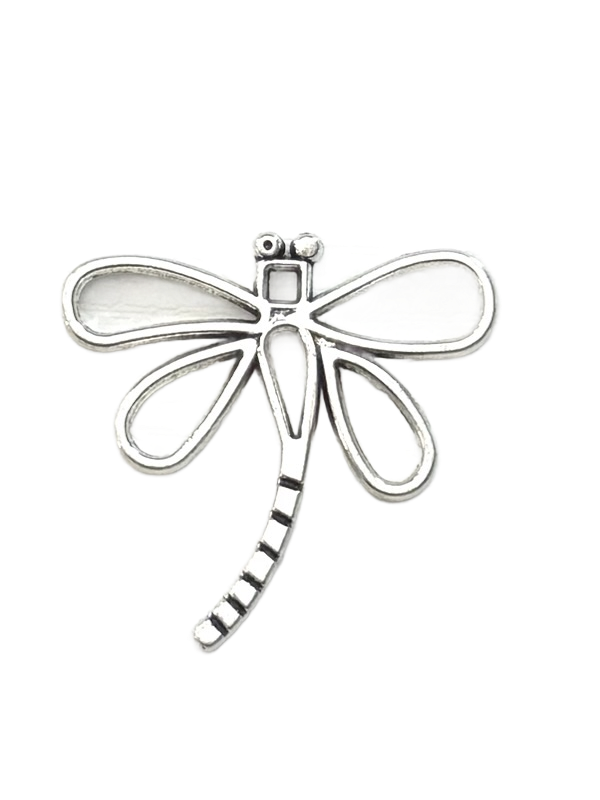 Dragonfly Charms